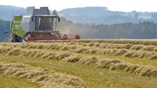 Combine harvester in Cumbria