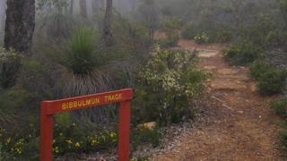 A section of the Bibbulmun Track in The Darling Range in Western Australia