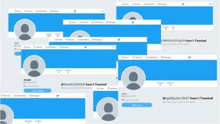 A collage of fake Twitter accounts