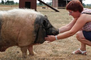 Valerie Luycx with Pastis, a 10-year-old Vietnamese pig
