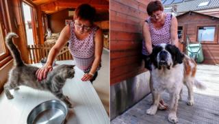 A composite photo of Valerie Luycx with Calin the cat and Yam the nine-year-old Saint Bernard dog poses for a portrait