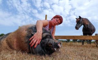 Valerie Luycx is seen with Pastis a 10-year-old Vietnamese pig