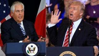 US President Donald Trump and Secretary of State Rex Tillerson