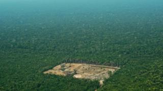 Deforestation in the Amazon rainforest