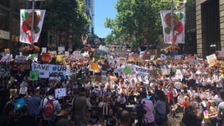 Hundreds of school students protest in Sydney with signs and banners urging climate change action