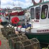 MPs take inquiry to Portavogie harbour