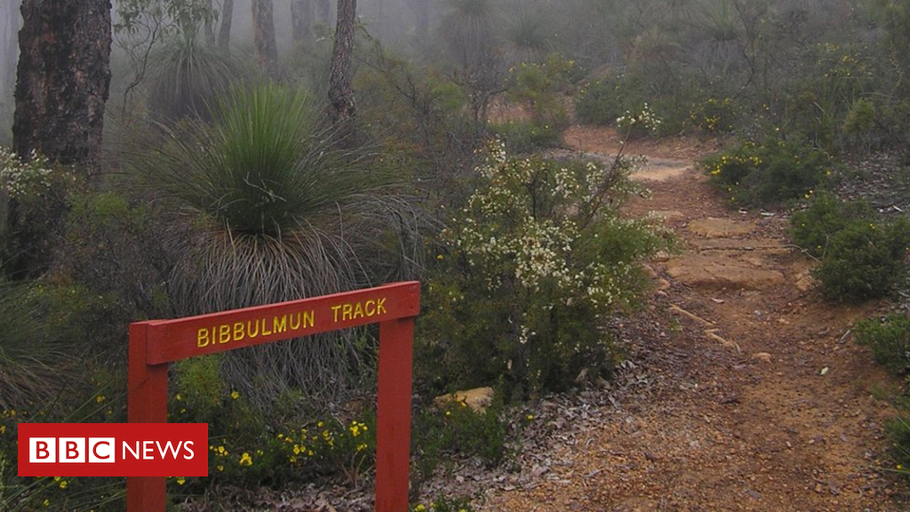 Backpackers attacked with shovel in Australian bush