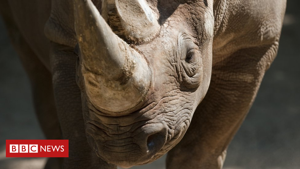 Kenya's Tourism Minister sorry for announcing 'go to hell'