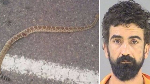 Man concealed toxic snake in neighbor's home after argument