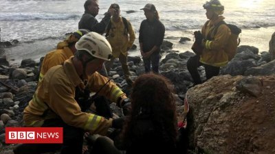 US girl rescued a week after California cliff plunge
