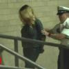 Grownup film big name Stormy Daniels taken to prison in handcuffs after strip membership incident