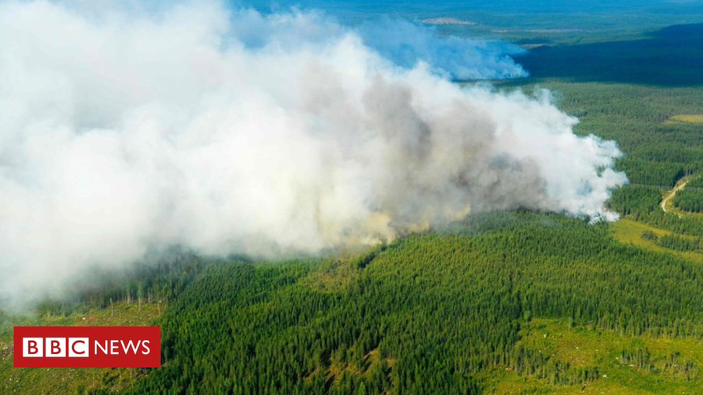 In pictures: Preventing the Swedish wildfires