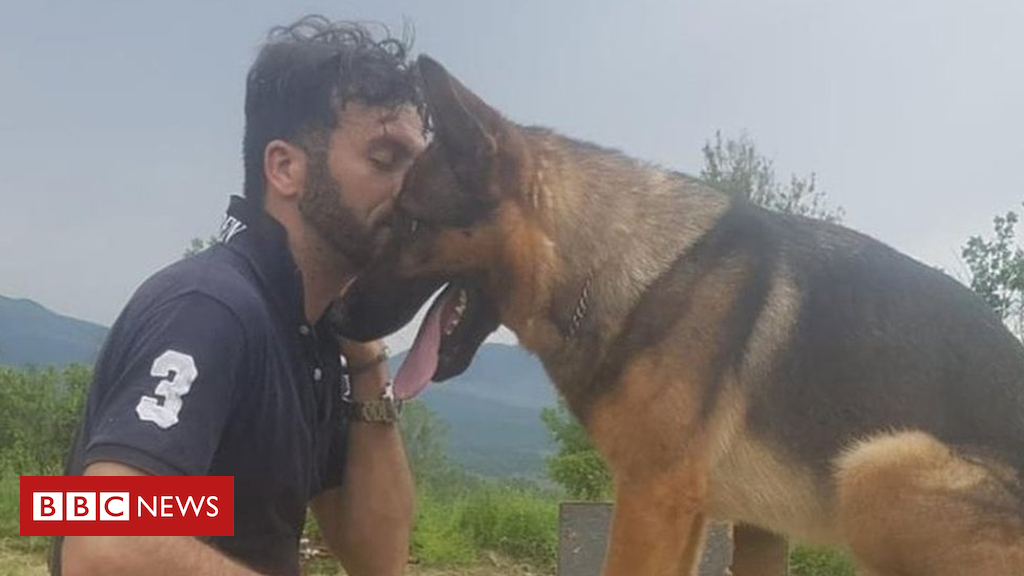 Italy earthquake 'hero dog' discovered useless