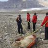 Polar undergo kills British boy in Arctic