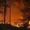 Sweden battles wildfires from Arctic Circle to Baltic Sea
