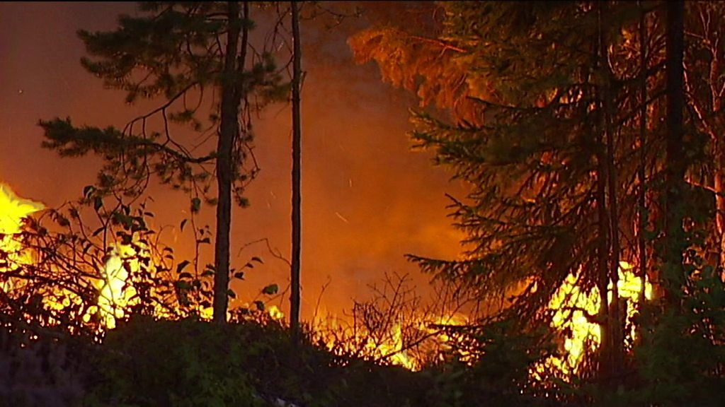 Sweden battles wildfires from Arctic Circle to Baltic Sea