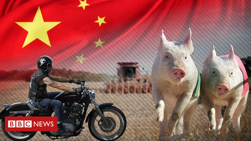 Why China is focused on US hogs and Harleys
