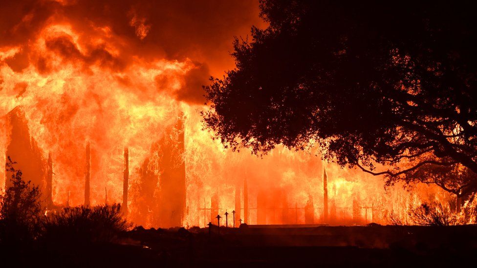 Wildfires: Why they start and the way they are able to be stopped