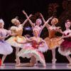 Australian Ballet efficiency reduce quick through rat