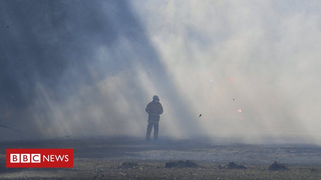 New South Wales battles dozens of iciness bushfires