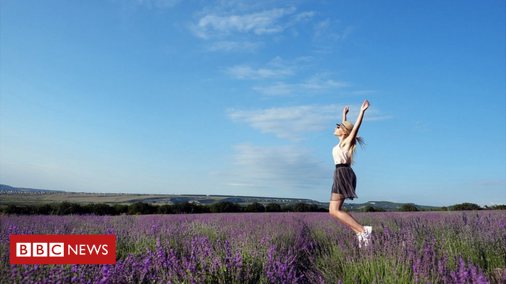 UNITED KINGDOM heatwave 2018: The winners and losers