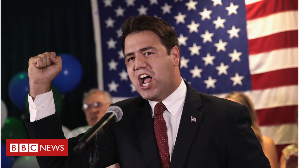 US mid-time period elections: What the consequences imply for Trump