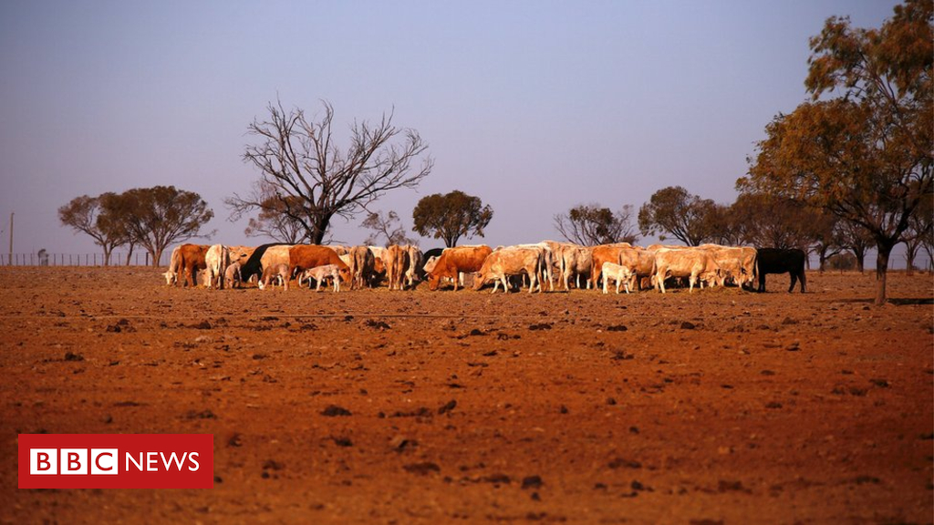 Australia's Turnbull: 'Now we are the land of droughts'