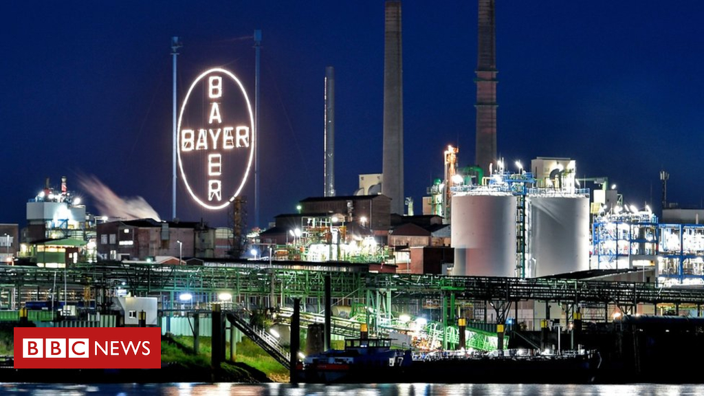 Bayer shares tumble after Monsanto payout in weedkiller case