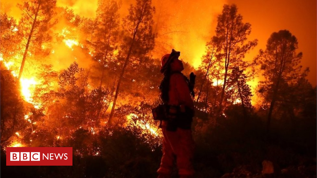California wildfires: Verizon throttled knowledge right through trouble