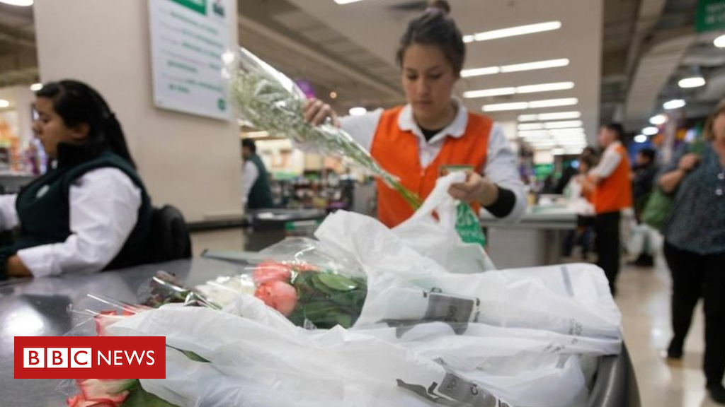 Chile bans plastic bags for companies
