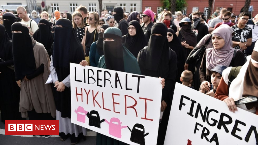 Denmark veil ban: First lady charged for dressed in niqab