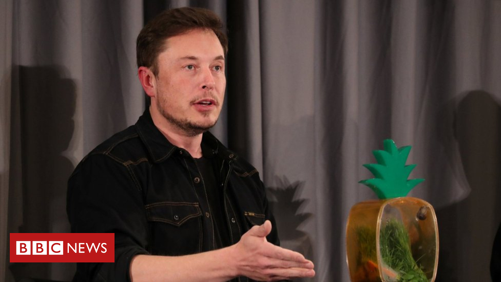 Elon Musk tweets he would possibly take Tesla non-public
