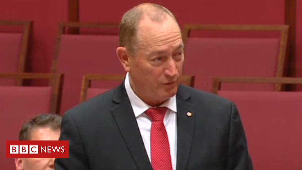 Fraser Anning: Australia MPs condemn 'final solution' speech