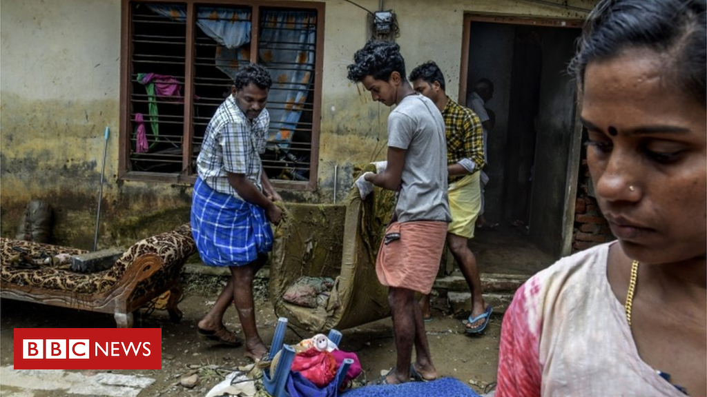 Kerala floods: Sufferers face snake risk as waters recede