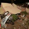 Lombok earthquake: Moment the quake struck caught on digicam