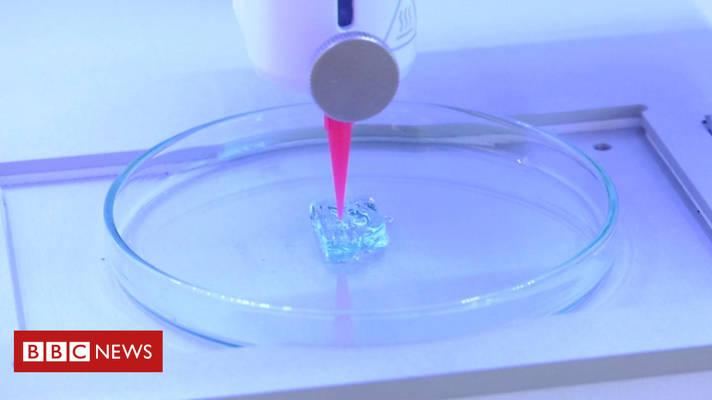 Making human organs through 3D printing