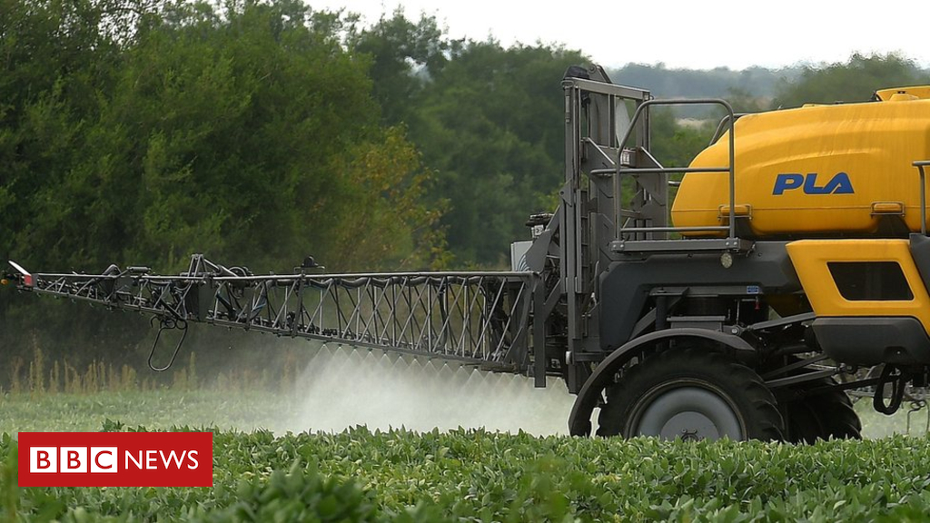 Monsanto ordered to pay $289m damages in Roundup most cancers trial