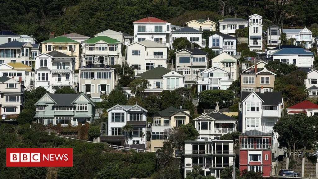 New Zealand bans sales of houses to foreigners
