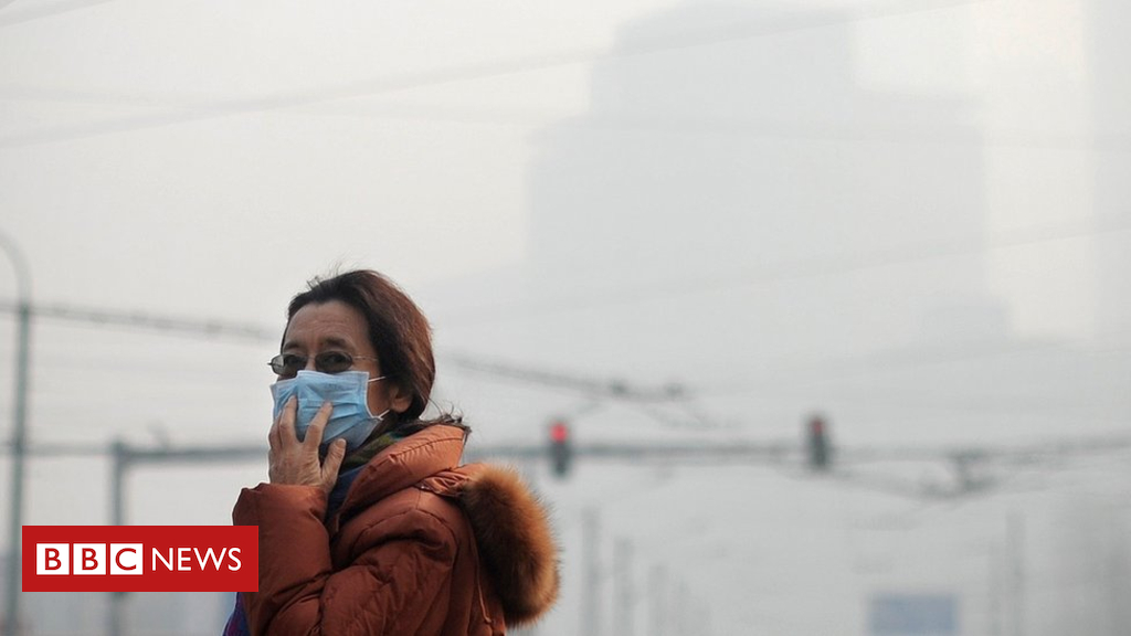 pollution 'may harm' cognitive intelligence, examine says