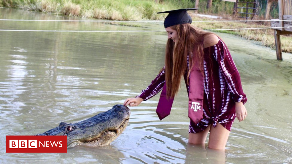 Texas pupil poses with alligator in commencement snaps