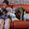 'The Little Old Ones': Belgium's retirement home for elderly animals