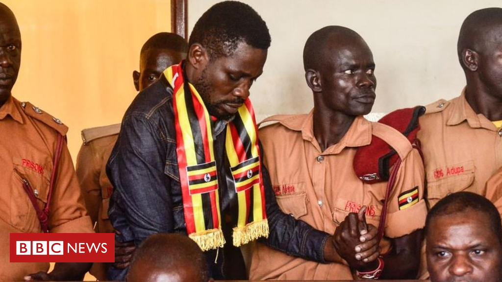 Uganda's Bobi Wine problem: Court Docket frees pop superstar MP