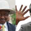 Uganda's Bobi Wine trouble: The president and the pop big name
