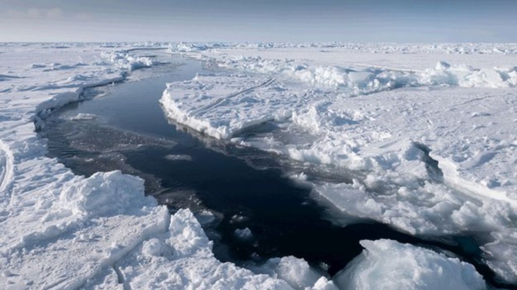 Warmer Arctic is the 'new normal'