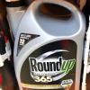 Weedkiller cancer ruling: What do we find out about glyphosate?