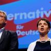 What does Choice for Germany (AfD) need?