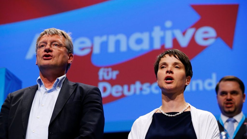 What does Choice for Germany (AfD) need?