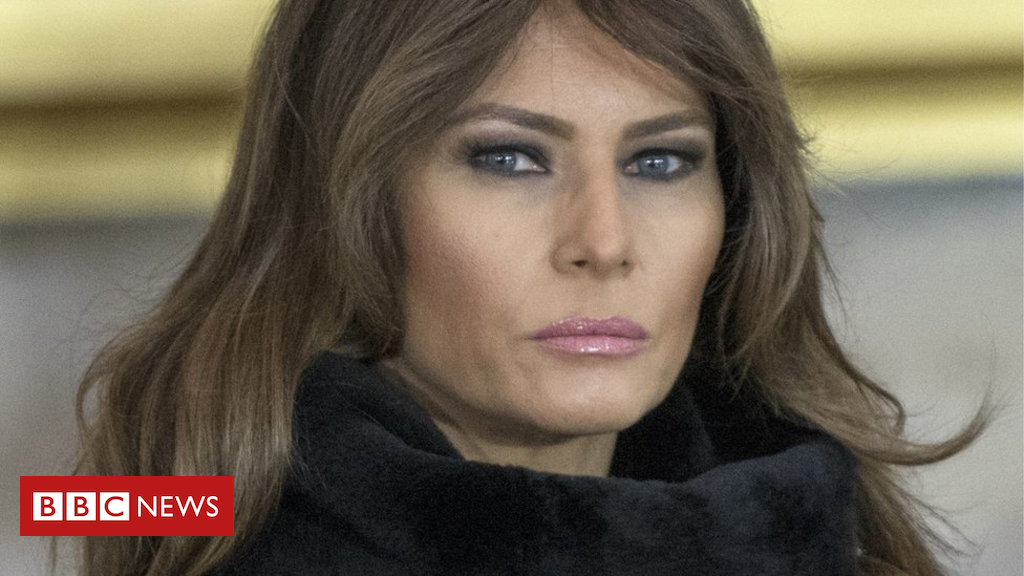 WHAT IS the Einstein visa? and the way did Melania Trump get one?