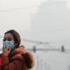 pollution 'may harm' cognitive intelligence, examine says