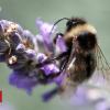 US natural world refuges finish ban on neonics and GM plants